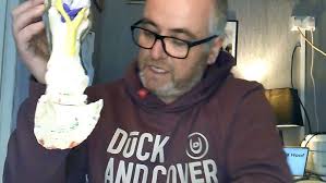 Healing of a DDFT, SDFT, and Annular Ligament Injury