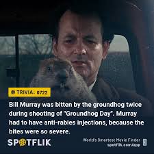 See more ideas about trivia night, trivia, trivia rounds. Movie Trivia Groundhog Day Movie Facts Groundhog Day Movie Movies