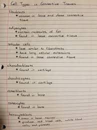 Cell Types In Connective Tissues Medical Student Study Medical School Essentials Medical School Studying