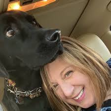 Veterinarian In Centennial, CO