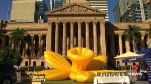 Find the opening hours and addresses for cancer council stores near you. 7news Brisbane Have You Spotted A Giant Yellow Flower In Facebook