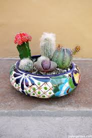 Check spelling or type a new query. My Secret Weapon For Planting A Cactus Dish Garden
