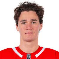 Maltsev Mikhail G., hockey player: statistics, KHL matches, news