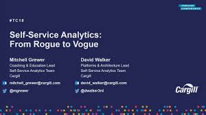 from rogue to vogue self service analytics at cargill