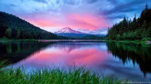 Advertisement platforms categories 1.2.0.4 user rating4 1/3 lively wallpaper is a windows application designed to turn gifs, games,. Free Download Wallpapers Of Nature Wallpapers Hd Wide Desktop Background