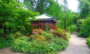 Der botanische garten ist täglich von montag bis sonntag (auch an feiertagen) geöffnet. Botanischer Garten Berlin Infos Eintrittspreise Offnungszeiten Usw