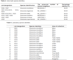 Image result for Dioscorea minutiflora
