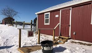 The Barn Sanctuary Saving The Farm The Animals Hobby Farms Sanctuary Animals Of The World