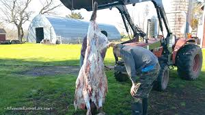 نتیجه جستجوی لغت [butchering] در گوگل