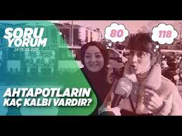 Ahtapotlarin Kac Kalbi Vardir Youtube
