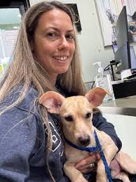 Marcia Devoe's Instagram, Twitter & Facebook