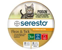 Bird Safe Cat Collar Australia Seresto Flea Collar For Cat Kittens Orange My Pet Warehouse