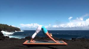 Check spelling or type a new query. Vinyasa Flow Yoga Class For Beginners Youtube