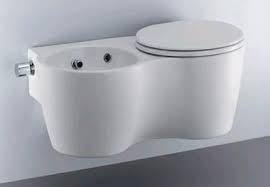 Ideal Standard Small Bidet And Toilet In One Bidet Bidet Bathroom Small Toilet