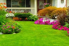 See more of lambert landscape company on facebook. 5 Best Landscaping Companies In Dallas