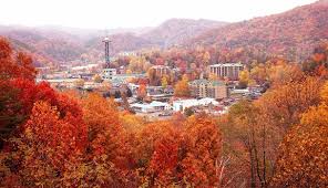 Check spelling or type a new query. Dollywood Go Beyond