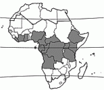 Image result for Lannea welwitschii