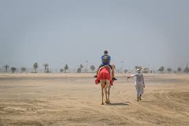 The camel ride was fun. Doha 5 Hour Safari Camel Ride Sandboarding Inland Sea