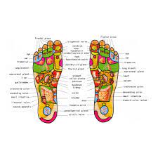 Urut barakah 5.884 views9 months ago. Foot Massage Mat Pad Board Acupressure Urut Tapak Kaki Urutan Akupresur Aid Care Shopee Malaysia