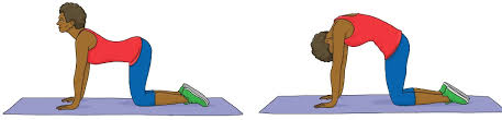 Find out how to relieve the pain and other symptoms. Tall People Back Pain And Back Problems Tall Life