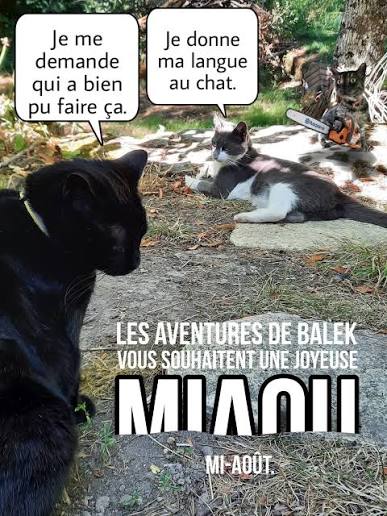 https://encrypted-tbn0.gstatic.com/images?q=tbn:ANd9GcTSAhE0nleAItw_U946M0wnpf3g7Zu0sVuLrBBj6IsB-f23BC86plaSBE1b&s=10