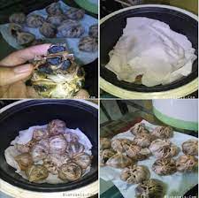 Misalnya saja, tumisan, gulai, hingga kimchi khas korea. Cara Membuat Fermentasi Bawang Putih Hitam Yang Benar Kangjamal Com
