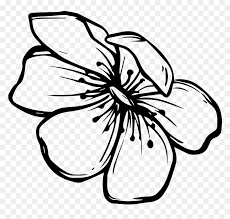 Black and white flower border png images. Line Drawing Png Black And White Flower Png Transparent Png Vhv