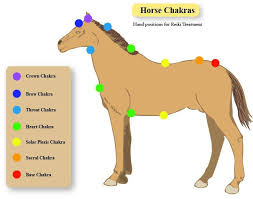 Printable Horse Chakra Chart Shown With Reiki Hand Positions