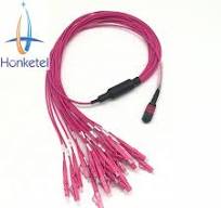 Fiber Optic Patch Cord MPO-LC MTP-LC Om4 12c 24c Trunk Cable