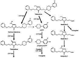 Image result for Nefazodone
