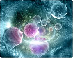 Since cell lines mimic cellular homogeneity of almost all human tissues and are used to create in vitro models, procuring and maintaining cell cle is an advanced technology enabling clds design cell lines by using crispr products. Why Are Cancer Cell Lines Useful