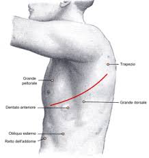 Quando presenti, tra i sintomi più comuni dell'embolia polmonare ricordiamo: Edema Polmonare Cause Sintomi E Cure