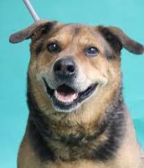 James Ringley's Instagram, Twitter & Facebook