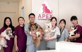 Nicollet veterinary clinic provides a full range of routine medical and surgical services for small animals and some exotics. Apex Veterinary Clinic