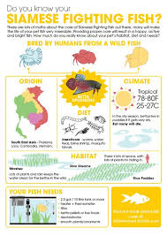 Pin On Aquaria Infographics