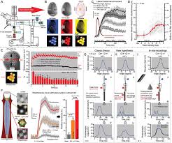 Maybe you would like to learn more about one of these? Microsaccadic Sampling Of Moving Image Information Provides Drosophila Hyperacute Vision Elife