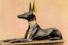 Ancient Egyptian Dog God Anubis Looks Like Pharaoh Hound Pharaoh Hound Pet Birds Dog Art