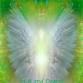 Angelic Reiki 1 and 2 Practitioner Workshop event image