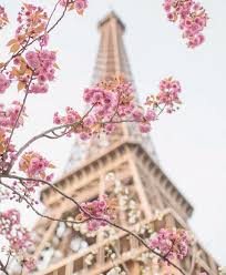 Paris In Bloom A Book By Floral Photographer Georgianna Lane Paris Photography Eiffel Tower Paris Photography Paris Wallpaper