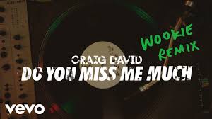 I always said that i was gonna make it, now it's plain for everyone to see Craig David Rise Fall Ft Sting Official Video Youtube