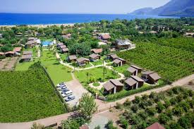 cirali hera hotel ulasim ulupinar transfer https www ulasimtransfer com cirali hera hotel ulasim ulupinar transfer fotograf antalya sahil
