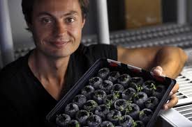 Số phận long đong của dự án cây phát sáng