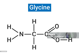 Image result for Glycine
