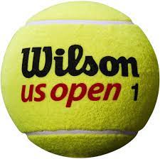 This collection myvidster web profiles groups. Wilson Tennisball Us Open Amazon De Sport Freizeit