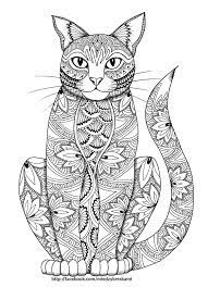 Supercoloring.com is a super fun for all ages: Simple Cat Coloring Pages For Adults Novocom Top
