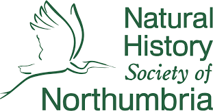 Nhsn provides facilities, states, regions, and the nation with data needed to. Natural History Society Of Northumbria Nhsn Inspiring Wonder In The Natural World