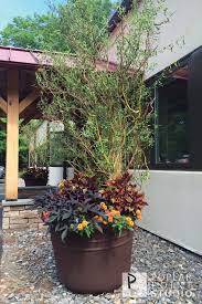 Pin On Pps Summer Containers