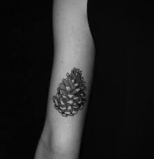 Pinecone Arm Pomme De Pin Happypets Ink Tasteful Tattoos Pine Tattoo Pinecone Tattoo