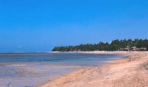 L'ours polaire est un animal carnivore. Divers Image De Plage Avec Manchot Empereur Frederic 146198 Image De Plage Avec Manchot Empereur Frederic