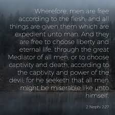 Choosing eternal life is something we have to do in our own lives; Lds Quotes For Using Your Time Wisely 5 Powerful Book Of Mormon Scriptures On Agency Lds Daily Dogtrainingobedienceschool Com